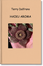 copertina_haiku